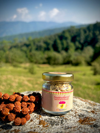 Jau Seeds for Navratri & Pooja Rituals